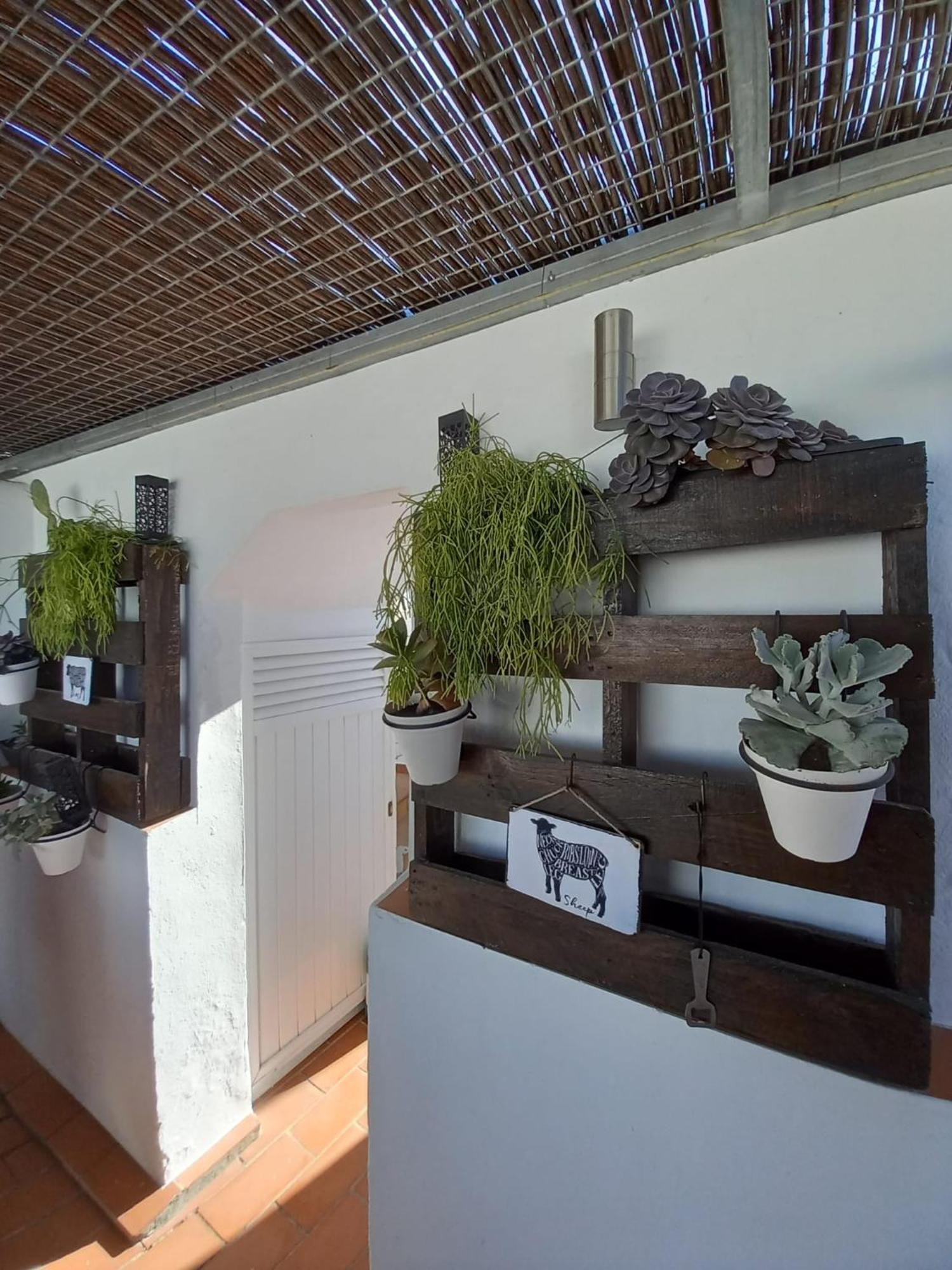 Villa Casa El Molino Conil De La Frontera Esterno foto